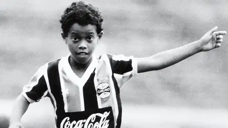 感觉所有的 感觉所有的