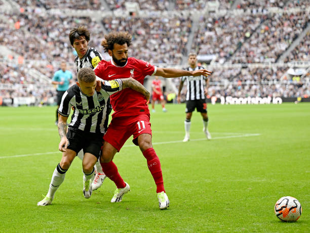 他的回归不 他的回归不